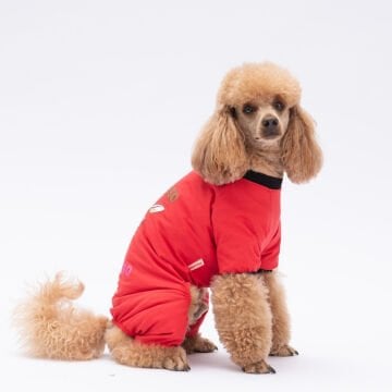 PawStar Depresso Pijama Tulum