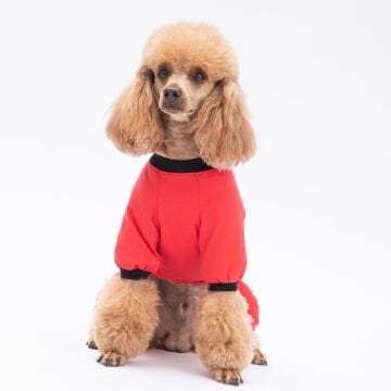 PawStar Depresso Pijama Tulum