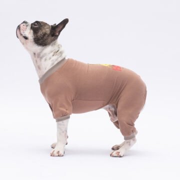 PawStar Happy Teddy Bear Pijama Tulum