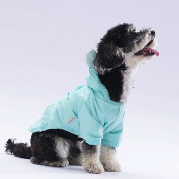 PawStar  Mint Sydney Yağmurluk Küçük ve Orta Irk