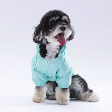 PawStar  Mint Sydney Yağmurluk Küçük ve Orta Irk