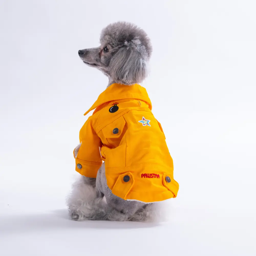 PawStar 26201- Sarı Cancun Pop Ceket