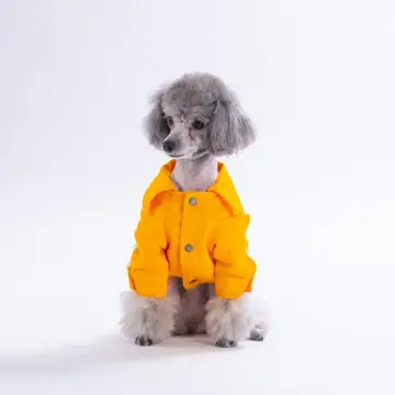 PawStar 26201- Sarı Cancun Pop Ceket