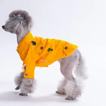 PawStar 26201- Sarı Cancun Pop Ceket