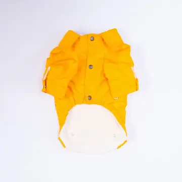 PawStar 26201- Sarı Cancun Pop Ceket