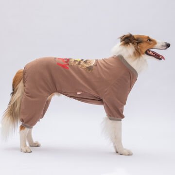 PawStar Happy Teddy Bear Büyük Irk Pijama Tulum