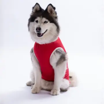 PawStar 26853 Kırmızı Turtley Over It Büyük Tişört