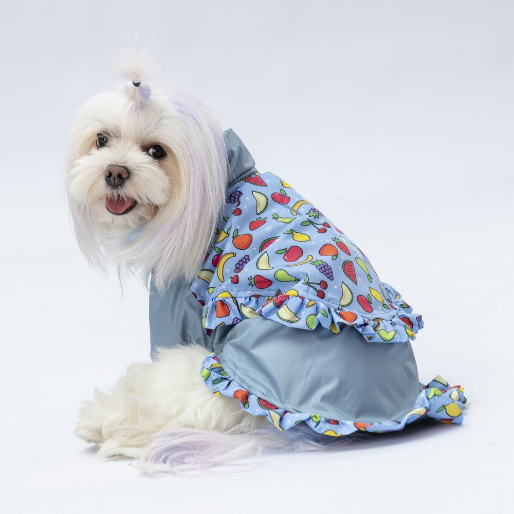 PawStar  Gri Victoria Yağmurluk Küçük ve Orta Irk