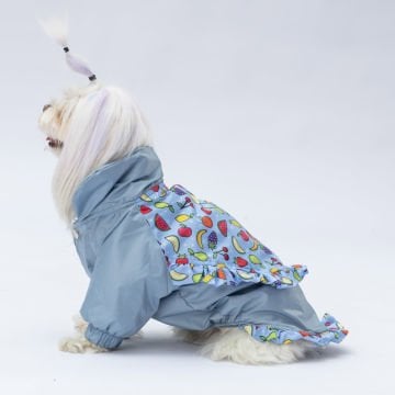 PawStar  Gri Victoria Yağmurluk Küçük ve Orta Irk