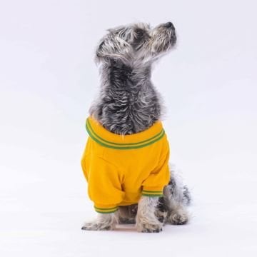 PawStar Sarı Marine Polo Yaka T-Shirt