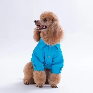 PawStar 26202- Turkuaz Cancun Pop Ceket