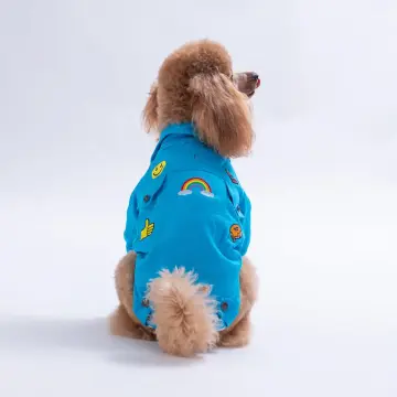 PawStar 26202- Turkuaz Cancun Pop Ceket