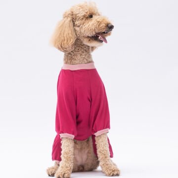 PawStar Go Teddy Bear Büyük Irk Pijama Tulum