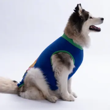 PawStar 26852 Mavi Happy Go Büyük Tişört