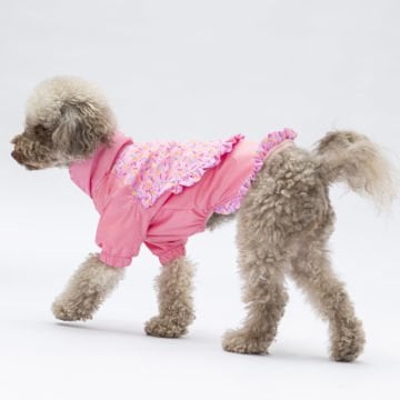 PawStar  Pembe Victoria Yağmurluk Küçük ve Orta Irk