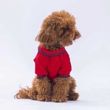 PawStar Kırmızı Marine Polo Yaka T-Shirt