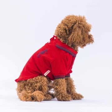 PawStar Kırmızı Marine Polo Yaka T-Shirt