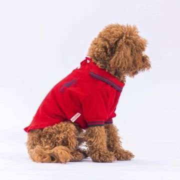 PawStar Kırmızı Marine Polo Yaka T-Shirt