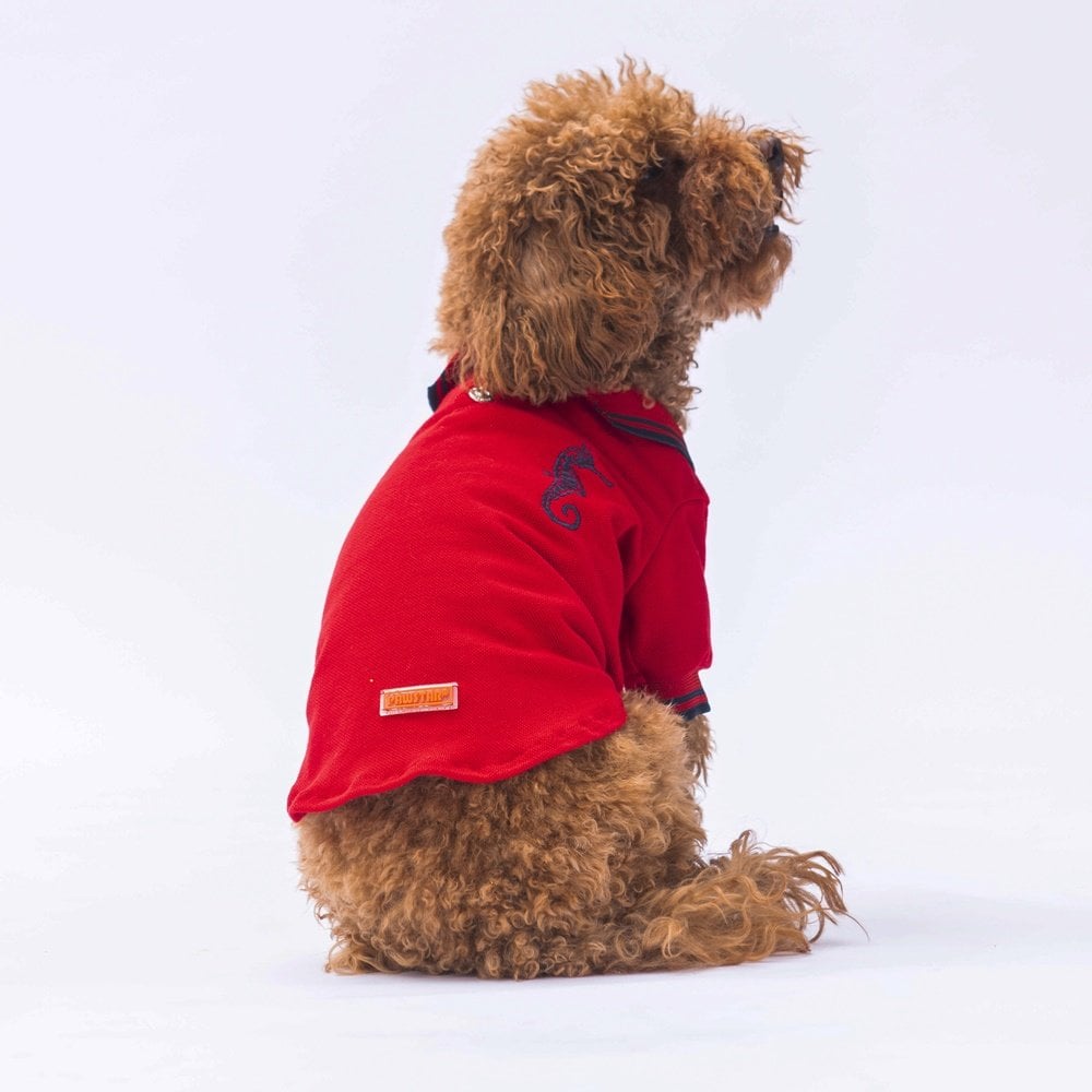 PawStar Kırmızı Marine Polo Yaka T-Shirt