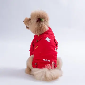 PawStar 26203-Kırmızı Cancun Pop Ceket