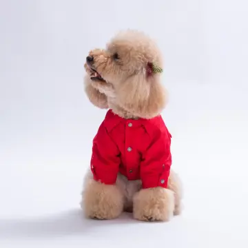 PawStar 26203-Kırmızı Cancun Pop Ceket