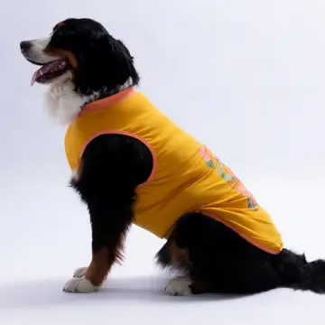 PawStar 26851 Sarı Crabby Beach Büyük Tişört