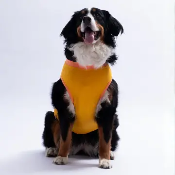 PawStar 26851 Sarı Crabby Beach Büyük Tişört