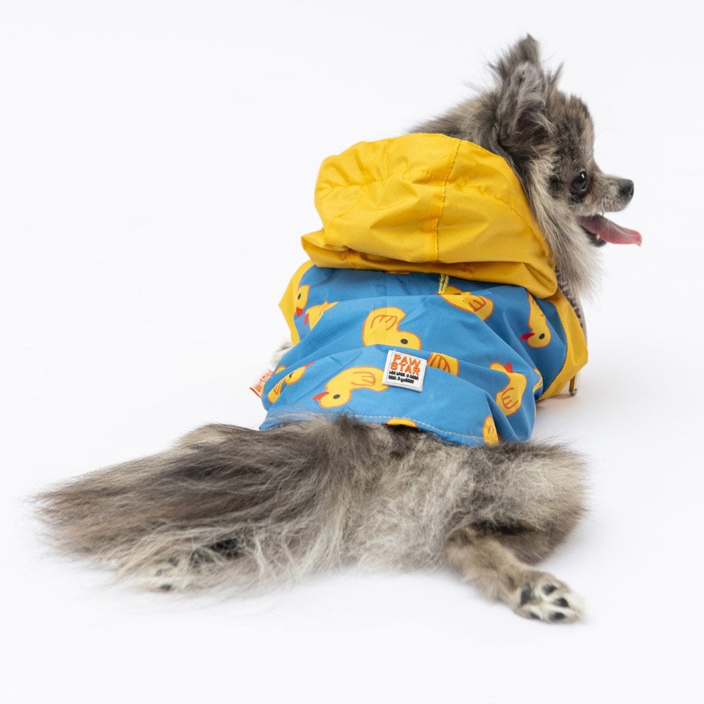 PawStar Pekin Yağmurluk Küçük ve Orta Irk