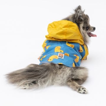 PawStar Pekin Yağmurluk Küçük ve Orta Irk