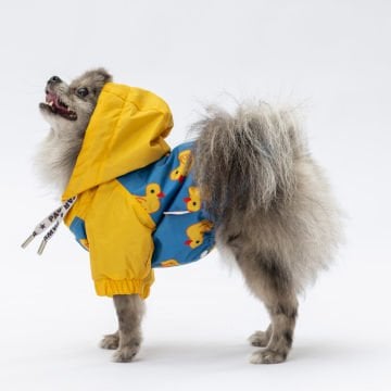 PawStar Pekin Yağmurluk Küçük ve Orta Irk