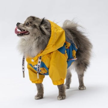 PawStar Pekin Yağmurluk Küçük ve Orta Irk