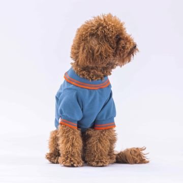 PawStar Mavi Marine Polo Yaka T-Shirt