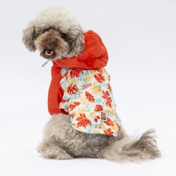 PawStar Ottawa Yağmurluk Küçük ve Orta Irk