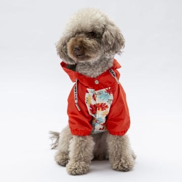 PawStar Ottawa Yağmurluk Küçük ve Orta Irk