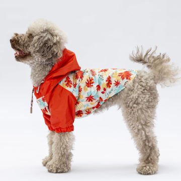 PawStar Ottawa Yağmurluk Küçük ve Orta Irk