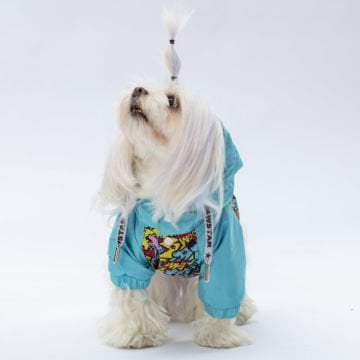 PawStar Hollywood Yağmurluk Küçük ve Orta Irk