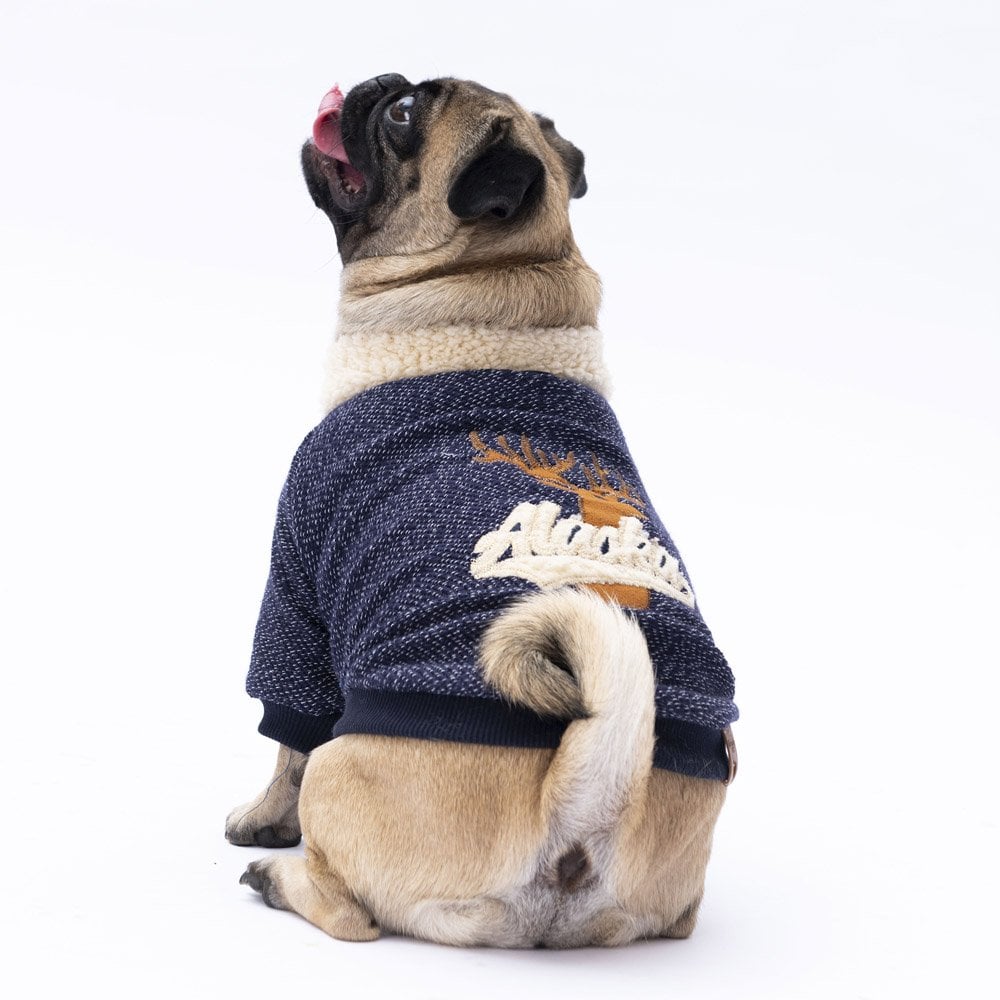 PawStar Lacivert Alaska Sweat Küçük ve Orta Irk