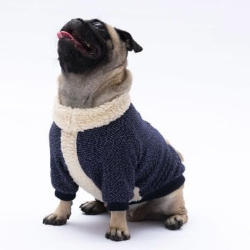 PawStar Lacivert Alaska Sweat Küçük ve Orta Irk