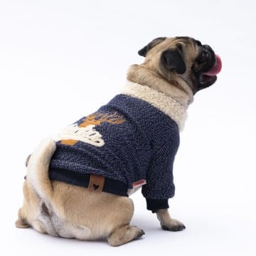 PawStar Lacivert Alaska Sweat Küçük ve Orta Irk