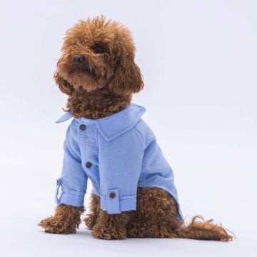PawStar Mavi Linen Look Gömlek