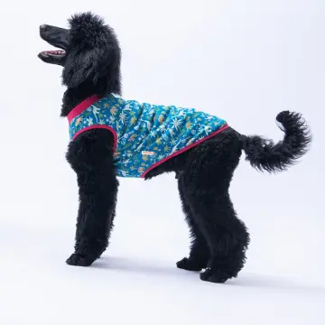PawStar 25851 Dino Büyük Tişört
