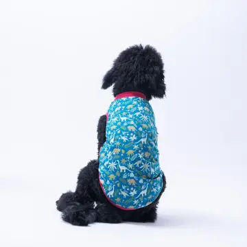PawStar 25851 Dino Büyük Tişört