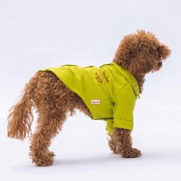 PawStar Yeşil Linen Look Gömlek
