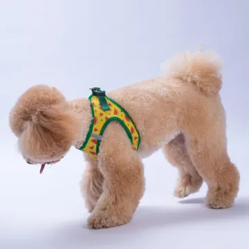 PawStar  Airmesh Watermelon Göğüs Tasması