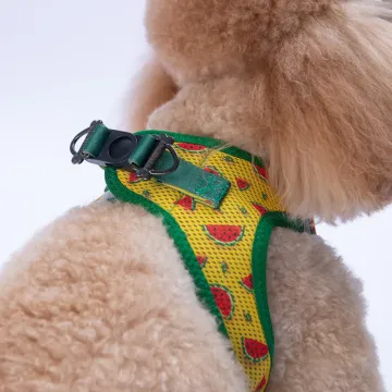 PawStar  Airmesh Watermelon Göğüs Tasması