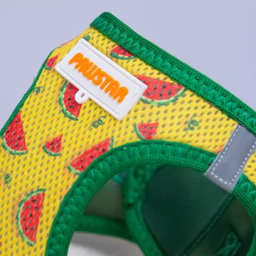 PawStar  Airmesh Watermelon Göğüs Tasması
