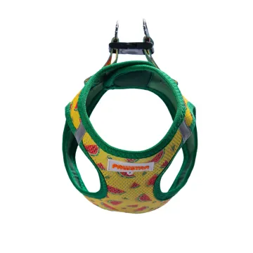 PawStar  Airmesh Watermelon Göğüs Tasması