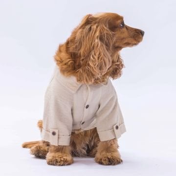 PawStar  Bej Linen Look Gömlek