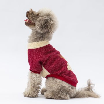 PawStar Bordo Alaska Sweat Küçük ve Orta Irk