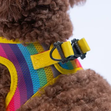 PawStar  Airmesh Rainbow Göğüs Tasması